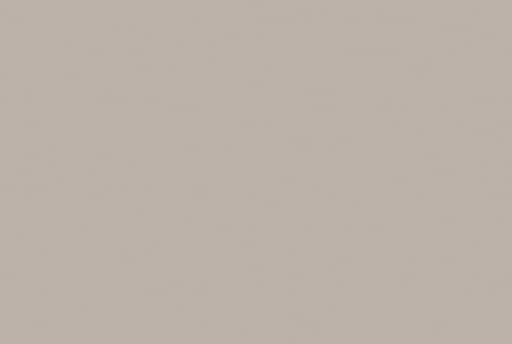 Safari Grey